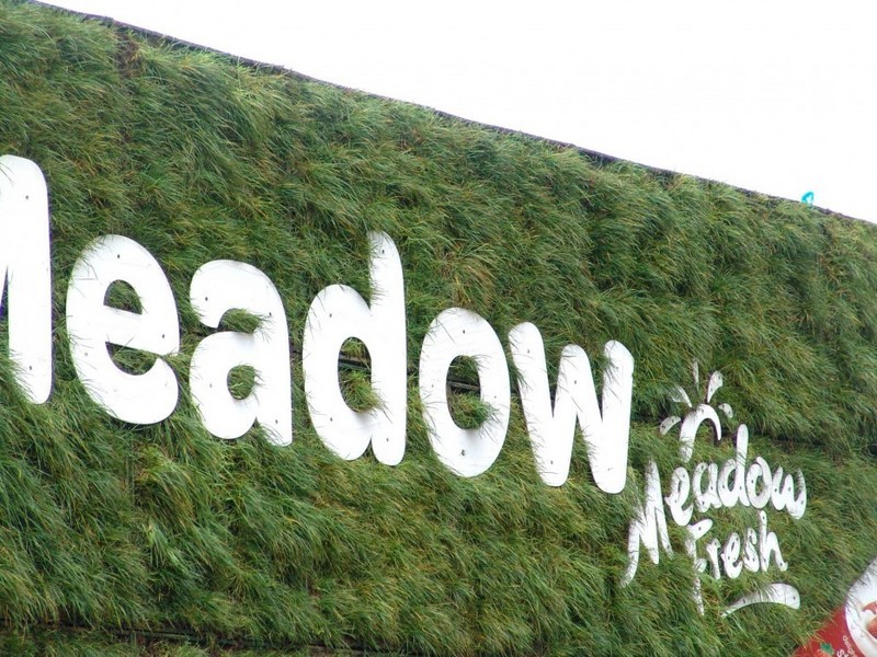 Meadow-Fresh