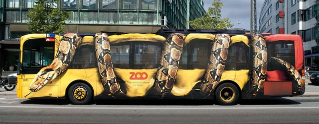 16 zoo